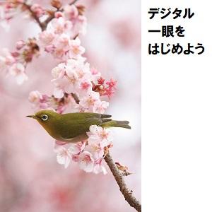 デジタル一眼をはじめよう・超入門.jpg