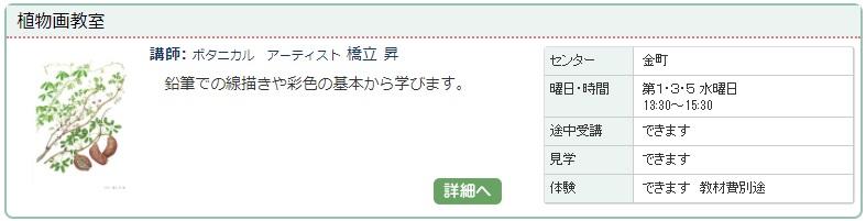 金町03_植物0123.jpg