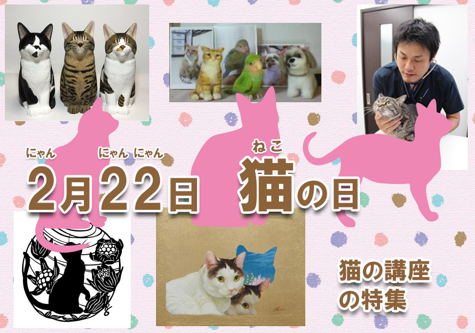 2023猫の日1280-720.png