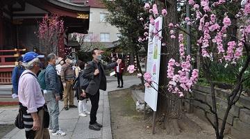 ⑥スサノオ神社360-201.jpg