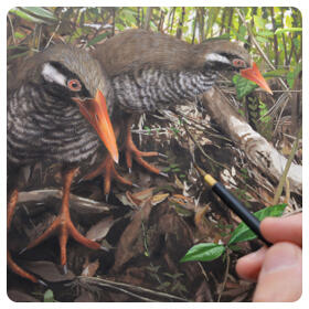 恵比寿_18絵を通した野生動物保護.jpg