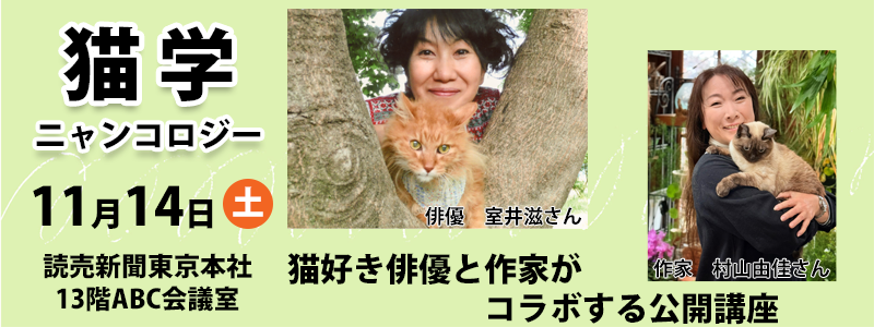 猫学2611看板.png