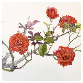川口_03植物を描く水彩画.jpg