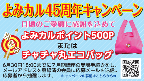 cam45-7_500-283.png