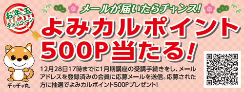 お年玉キャンペーン.png