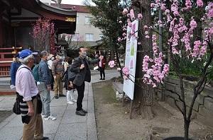 ⑥スサノオ神社300-198.jpg