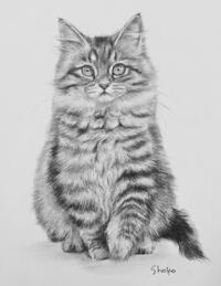 公開　鉛筆でかわいい犬や猫を描こう！ (2).jpg