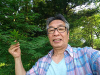 公開　親子で昆虫・植物とあそぼう.jpg