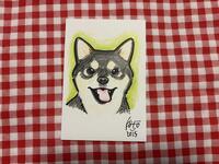公開　犬猫の可愛い似顔絵を描いてみませんか？ ＿黒柴.jpeg