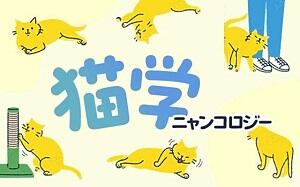 猫学300-187.jpg
