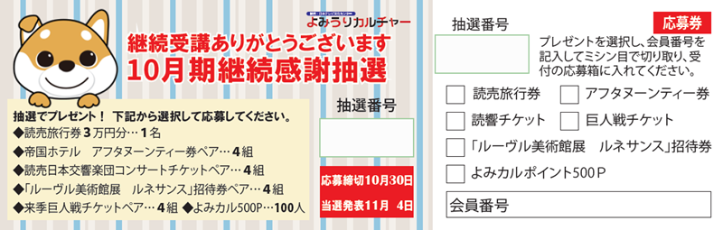 cam2610omote3.png