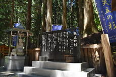 矢立の杉の碑.JPG