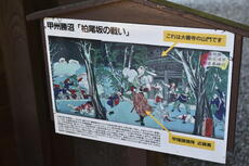 大善寺錦絵.JPG