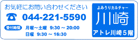 kawasaki_blue.gif