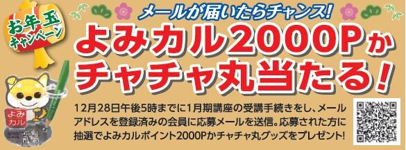 お年玉キャンペーン.jpg