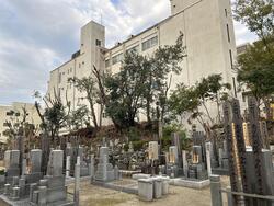 3　廬山寺.JPG