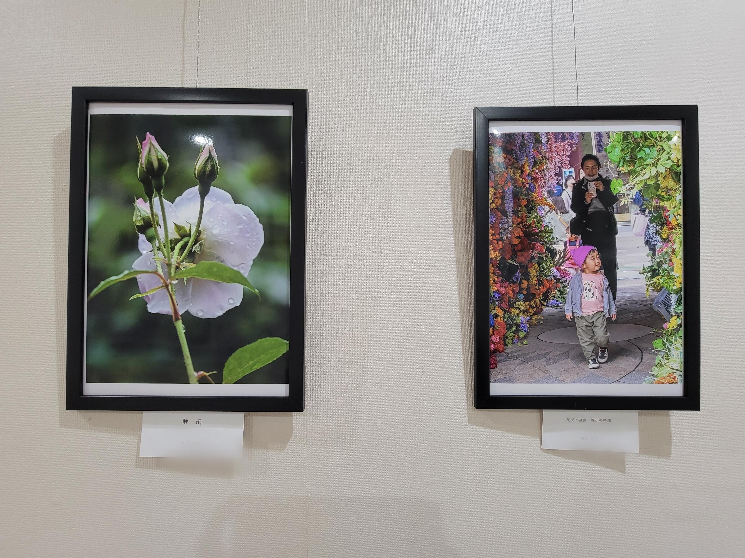 Point Blur_20250917_120614.jpg