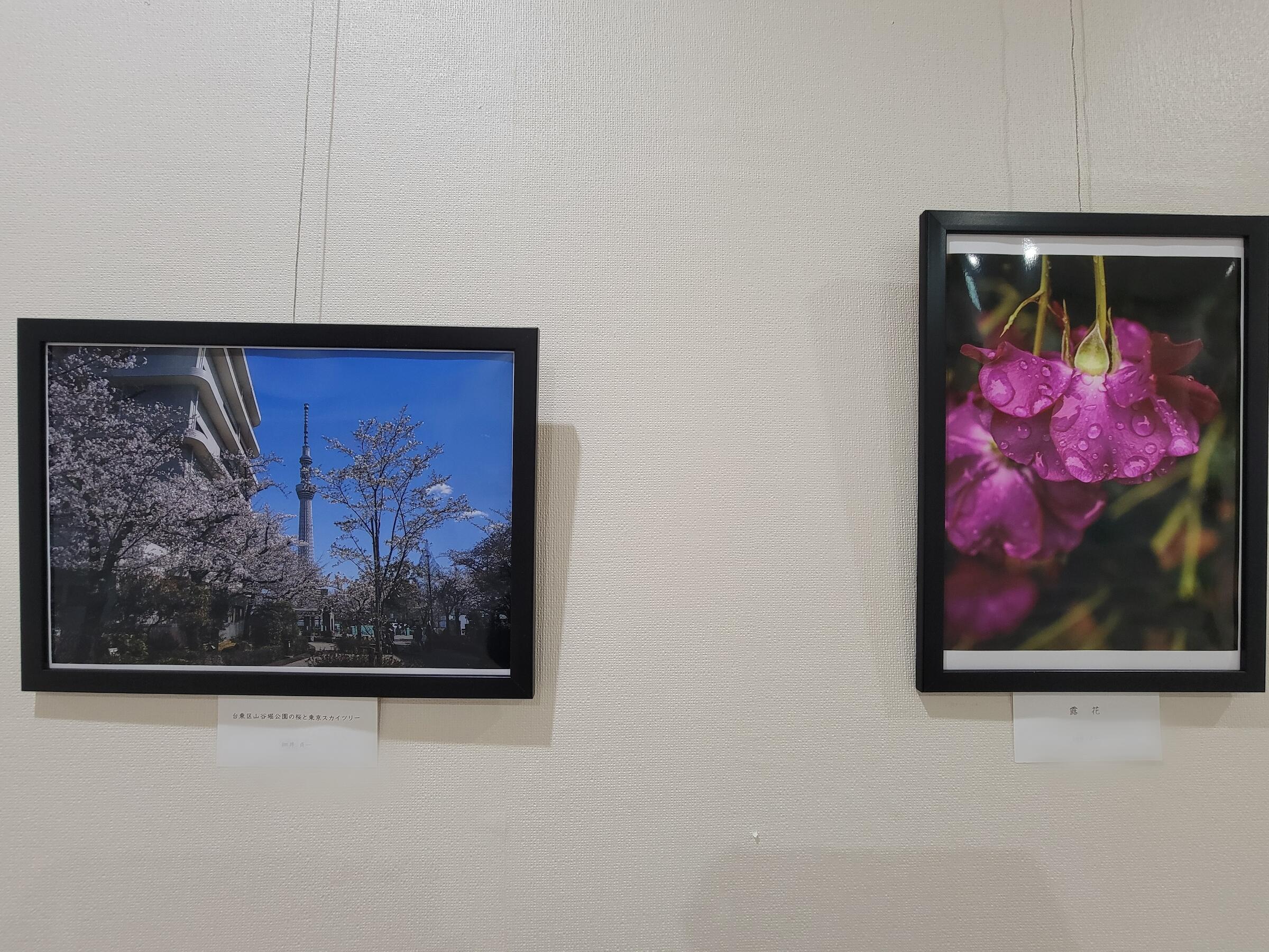 Point Blur_20250917_120628.jpg