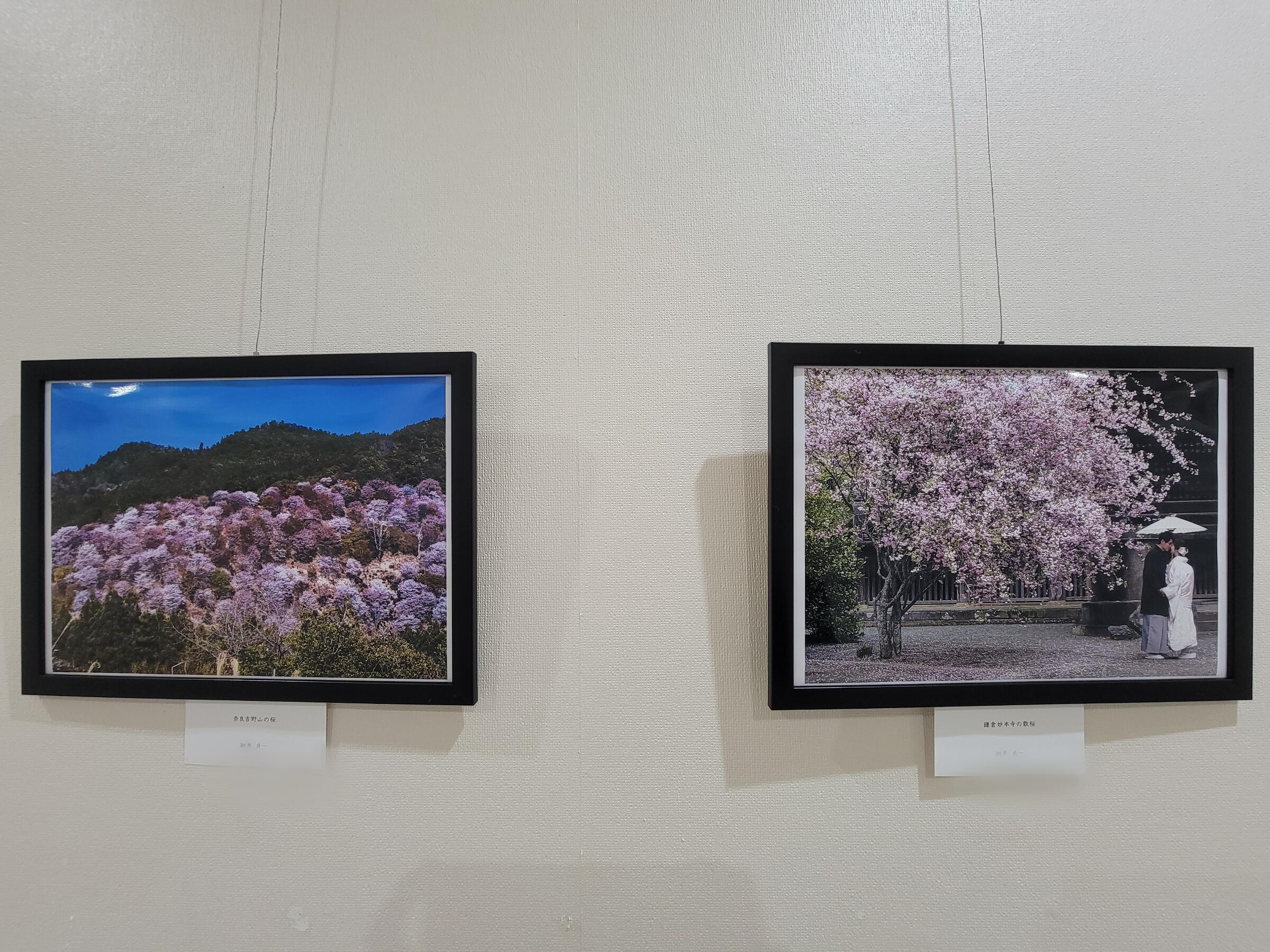 Point Blur_20250917_120641.jpg