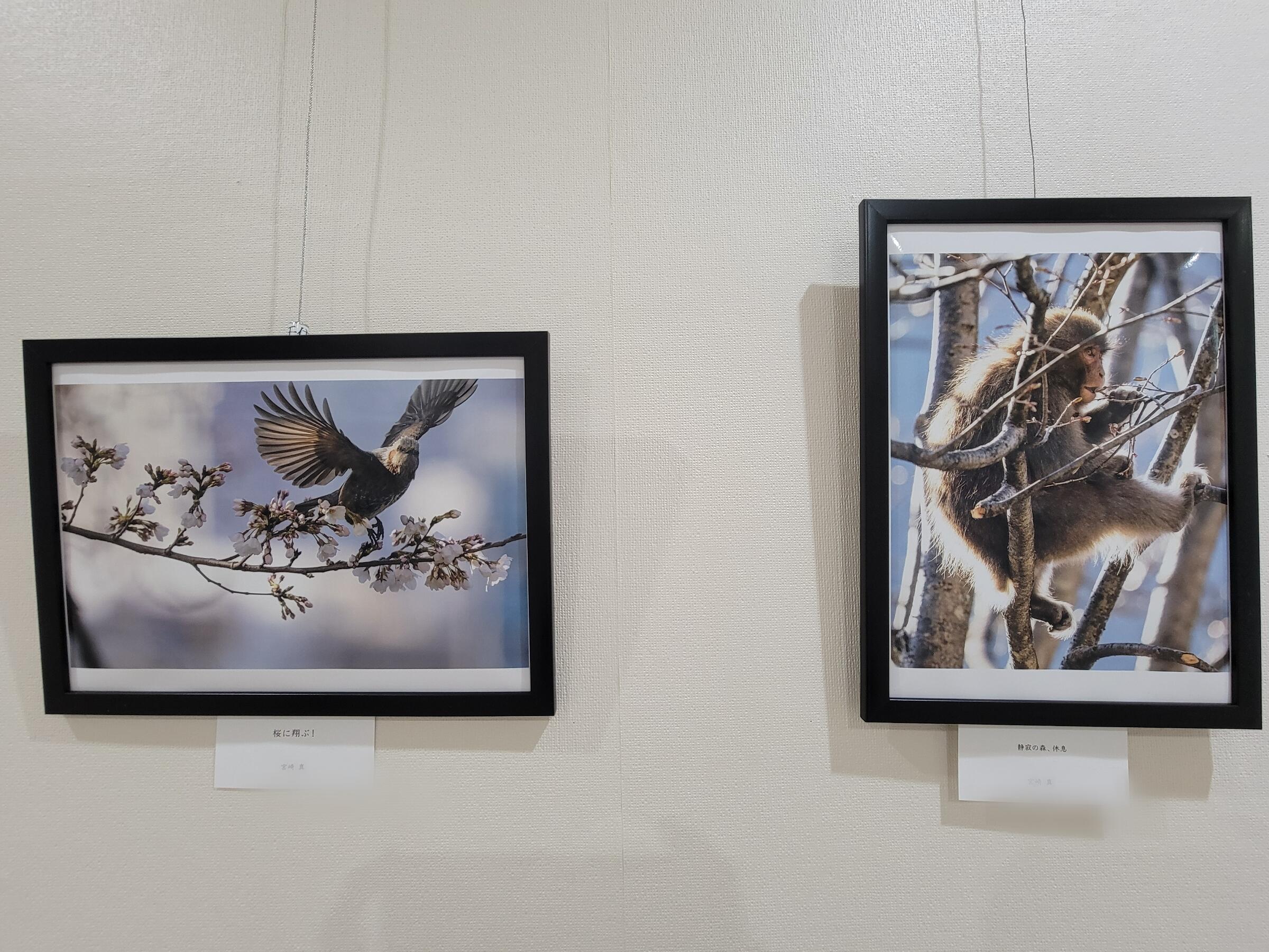 Point Blur_20250917_120705.jpg