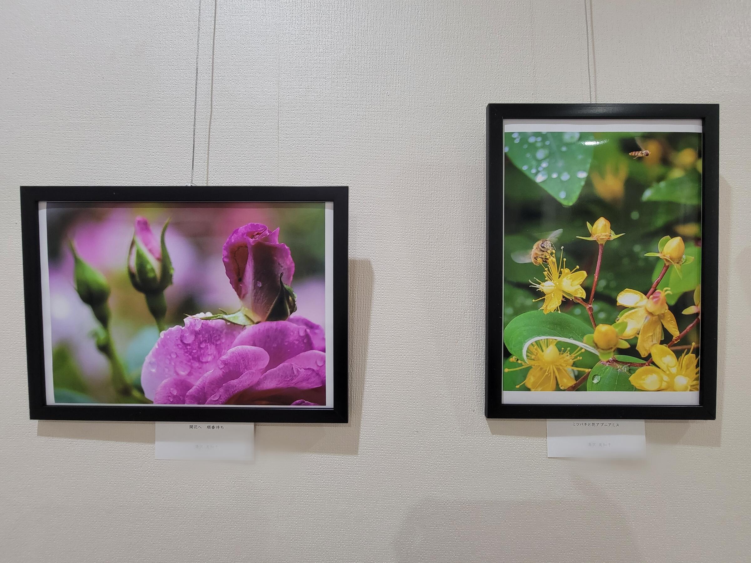 Point Blur_20250917_120713.jpg