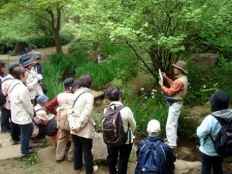 四季の鎌倉　自然散策（木）