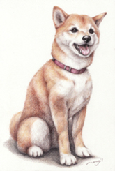 kouza