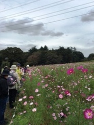 木と花と自然を感じる旅