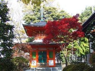 東京の寺めぐり