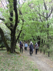 多摩・武蔵野を歩く（土）