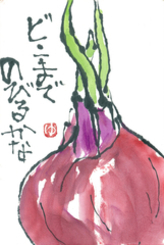 kouza