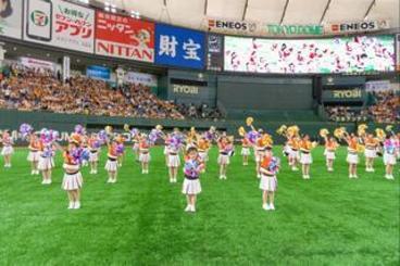 osusumekiji