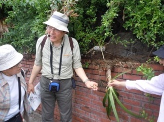 草花・樹木と語る旅