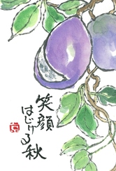 kouza