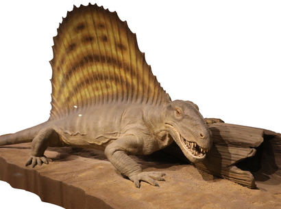 osusumekiji