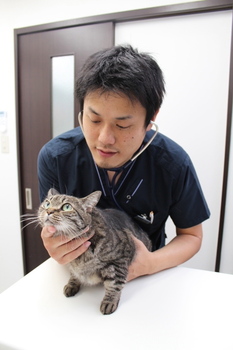 osusumekiji