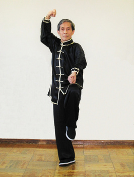 沈立君の医療健康気功（高級）