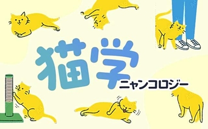 osusumekiji