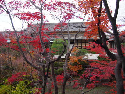 osusumekiji