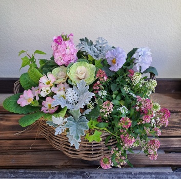 オシャレな寄せ植え（第４週）【増設クラス】