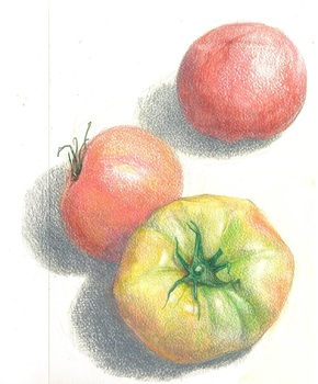 kouza