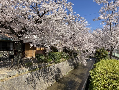 osusumekiji