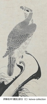 kouza