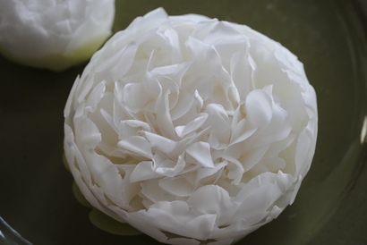 kouza
