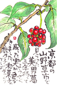 kouza