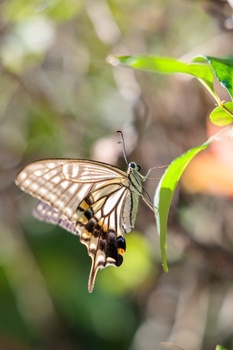 はじめての写真講座