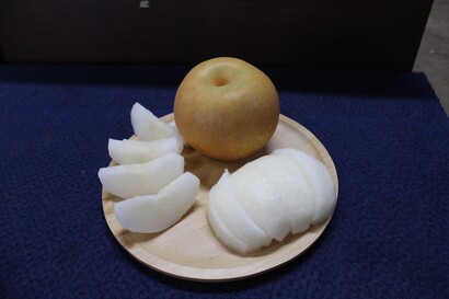 osusumekiji