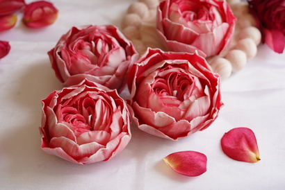 kouza