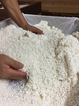 kouza
