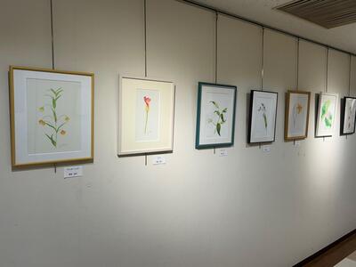 ボタニカルアート廊下展4.jpg